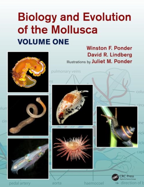 Biology and Evolution of the Mollusca, Volume 1, Hardback Book