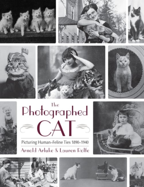 The Photographed Cat : Picturing Close Human-Feline Ties 1900-1940, Hardback Book