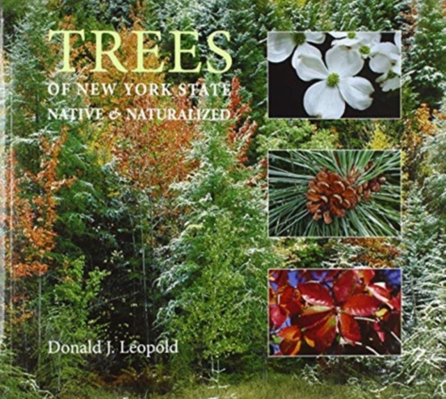 Trees of New York State : Native and Naturalized, Paperback / softback Book