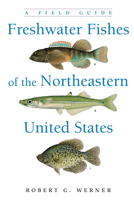 Freshwater Fishes of the Northeastern United States : A Field Guide, Paperback / softback Book