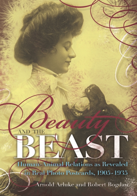 Beauty and the Beast : Human-Animal Relations as Revealed in Real Photo Postcards, 1905-1935, PDF eBook