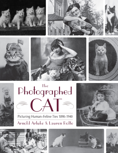 The Photographed Cat : Picturing Close Human-Feline Ties 1900-1940, PDF eBook