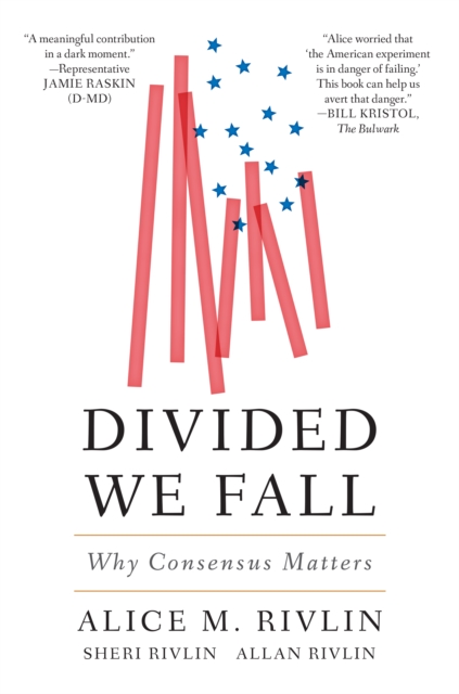 Divided We Fall : Why Consensus Matters, EPUB eBook