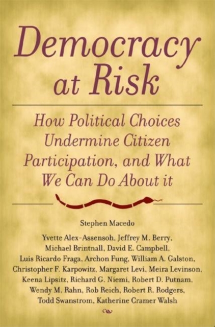 Democracy at Risk : How Political Choices Undermine Citizen Participation, and What We Can Do About It, Paperback / softback Book