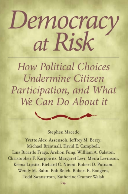 Democracy at Risk : How Political Choices Undermine Citizen Participation, and What We Can Do About It, PDF eBook