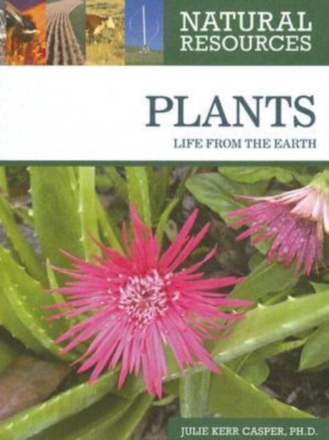 Plants, Hardback Book