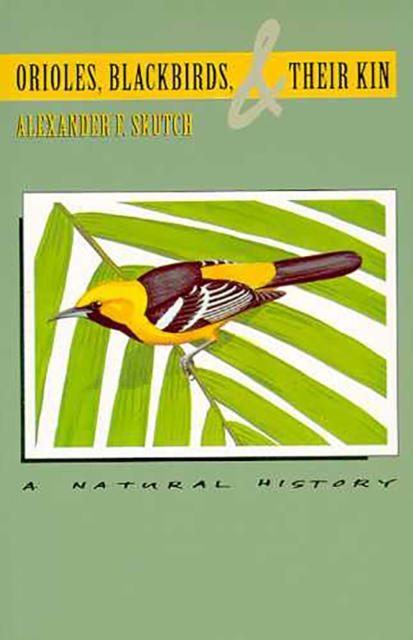 Orioles, Blackbirds, and Their Kin : A Natural History, Paperback / softback Book