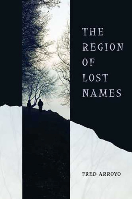 The Region of Lost Names, Paperback / softback Book