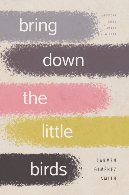 Bring Down the Little Birds : On Mothering, Art, Work and Everything Else, Paperback / softback Book