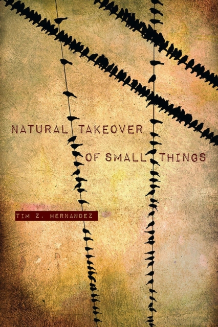 Natural Takeover of Small Things, Paperback / softback Book
