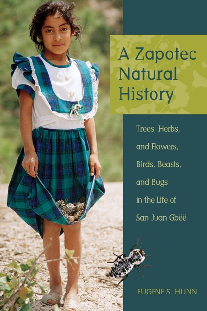 A Zapotec Natural History : Trees, Herbs, and Flowers, Birds, Beasts, and Bugs in the Life of San Juan Gbee, Paperback / softback Book