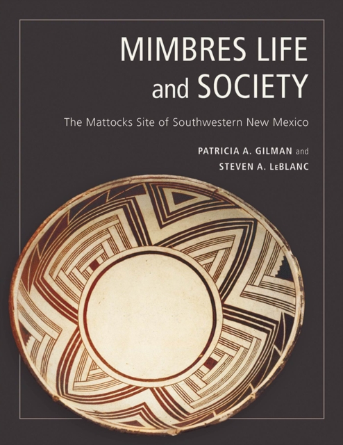 Mimbres Life and Society : The Mattocks Site of Southwestern New Mexico, Hardback Book
