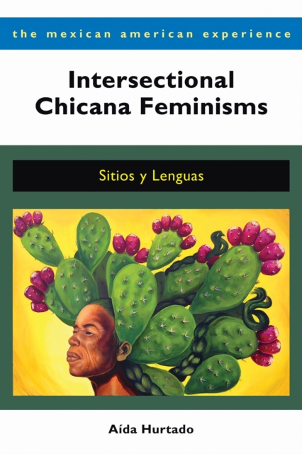 Intersectional Chicana Feminisms : Sitios y Lenguas, Paperback / softback Book