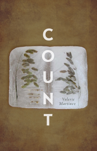 Count, Paperback / softback Book