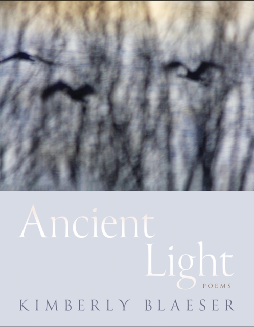 Ancient Light : Poems, PDF eBook