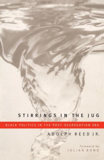 Stirrings In The Jug : Black Politics In The Post-Segregation Era, Paperback / softback Book