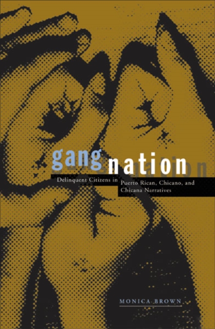 Gang Nation : Delinquent Citizens In Puerto Rican, Chicano, And Chicana Narratives, Hardback Book