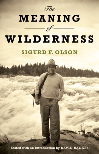 The Meaning of Wilderness, Paperback / softback Book