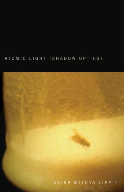Atomic Light (Shadow Optics), Hardback Book