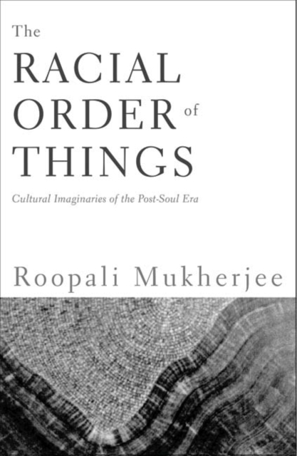 The Racial Order Of Things : Cultural Imaginaries Of The Post-Soul Era, Paperback / softback Book