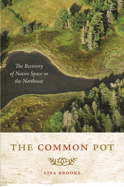 The Common Pot : The Recovery of Native Space in the Northeast, Hardback Book
