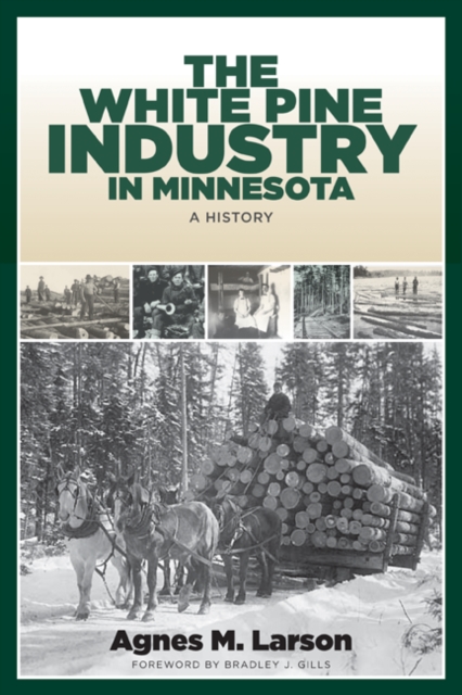 The White Pine Industry in Minnesota : A History, Paperback / softback Book