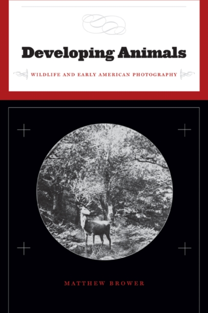 Developing Animals : Wildlife and Early American Photography, Hardback Book