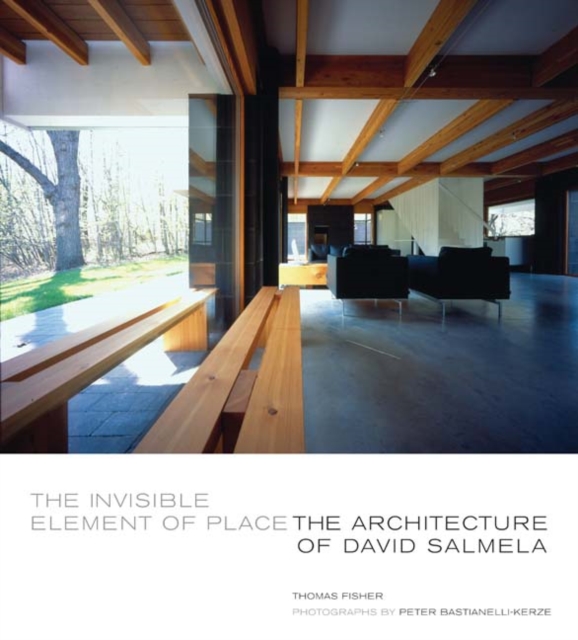 The Invisible Element of Place : The Architecture of David Salmela, Paperback / softback Book