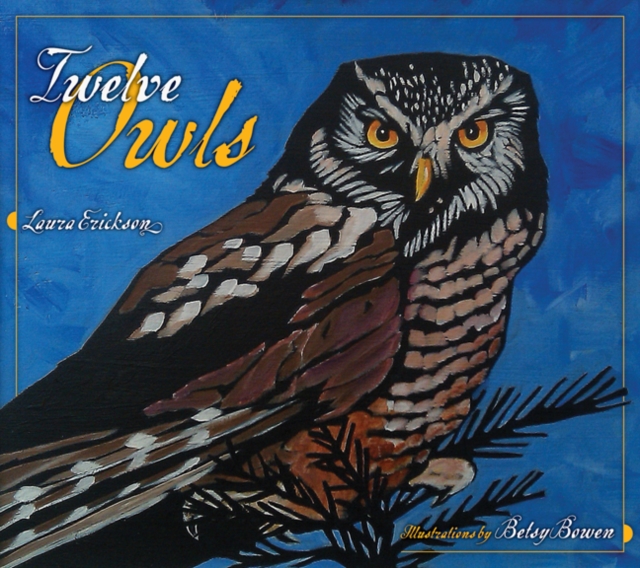 Twelve Owls, Hardback Book