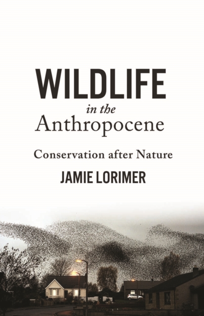 Wildlife in the Anthropocene : Conservation after Nature, Hardback Book