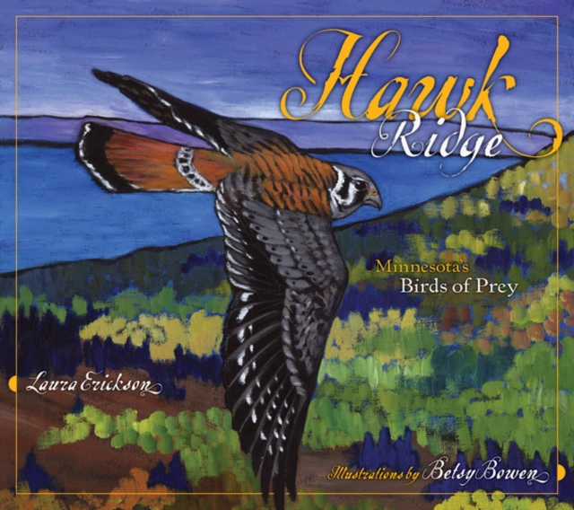 Hawk Ridge : Minnesota's Birds of Prey, Hardback Book