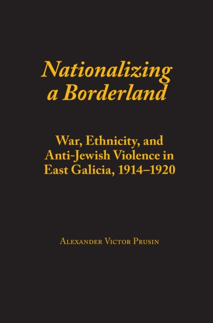 Nationalizing a Borderland : War, Ethnicity, and Anti-Jewish Violence in East Galicia, 1914-1920, Hardback Book