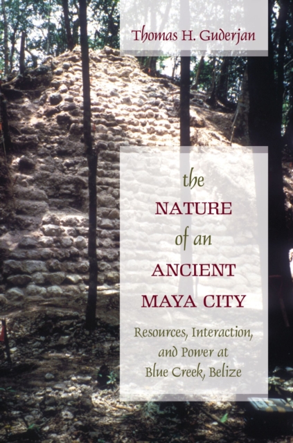 The Nature of an Ancient Maya City : Resources, Interaction, and Power at Blue Creek, Belize, Hardback Book