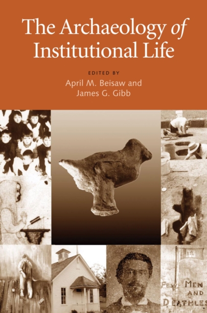 The Archaeology of Institutional Life, Hardback Book
