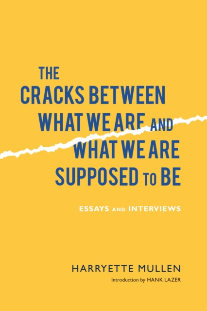 The Cracks Between What We Are and What We Are Supposed to Be : Essays and Interviews, Paperback / softback Book
