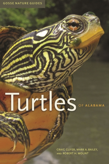 Turtles of Alabama, Paperback / softback Book
