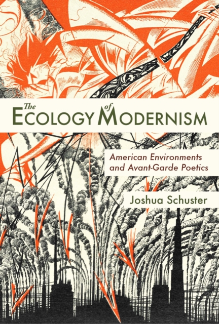 Ecology of Modernism : American Environments and Avant-Garde Poetics, Paperback / softback Book