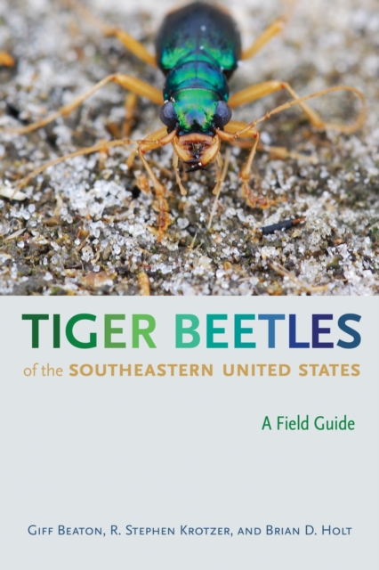 Tiger Beetles of the Southeastern United States : A Field Guide, Paperback / softback Book