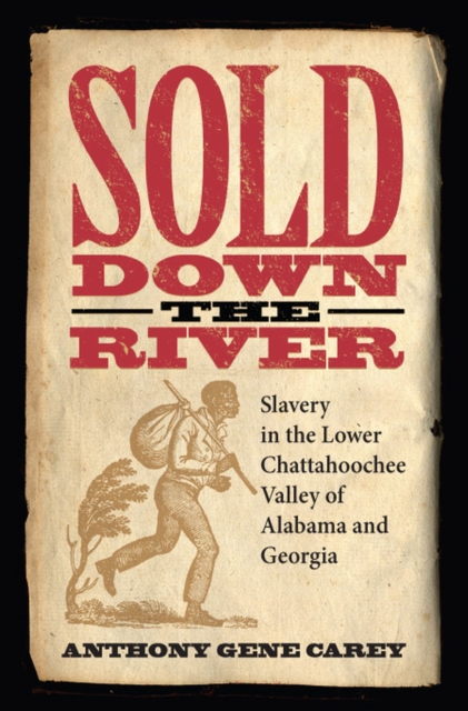 Sold Down the River : Slavery in the Lower Chattahoochee Valley of Alabama and Georgia, Paperback / softback Book