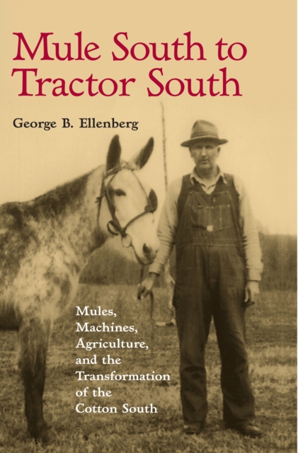 Mule South to Tractor South : Mules, Machines, and the Transformation of the Cotton South, EPUB eBook