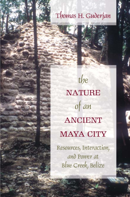 The Nature of an Ancient Maya City : Resources, Interaction, and Power at Blue Creek, Belize, EPUB eBook