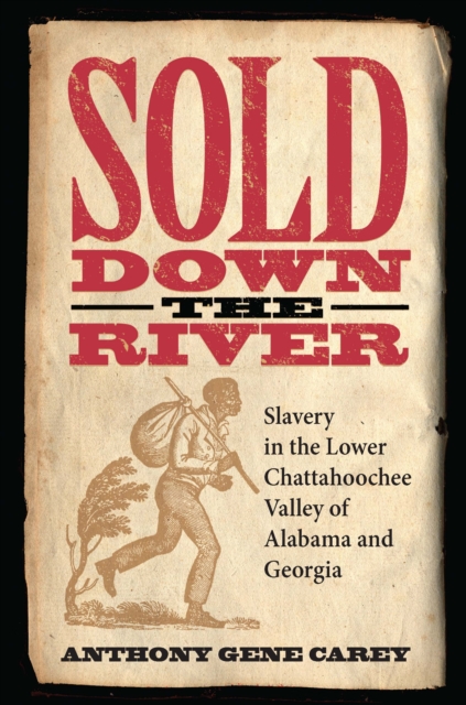 Sold Down the River : Slavery in the Lower Chattahoochee Valley of Alabama and Georgia, EPUB eBook