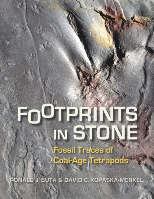 Footprints in Stone : Fossil Traces of Coal-Age Tetrapods, EPUB eBook