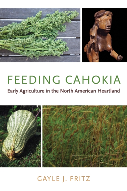 Feeding Cahokia : Early Agriculture in the North American Heartland, EPUB eBook