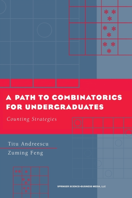 A Path to Combinatorics for Undergraduates : Counting Strategies, Paperback / softback Book
