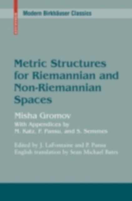 Metric Structures for Riemannian and Non-Riemannian Spaces, PDF eBook