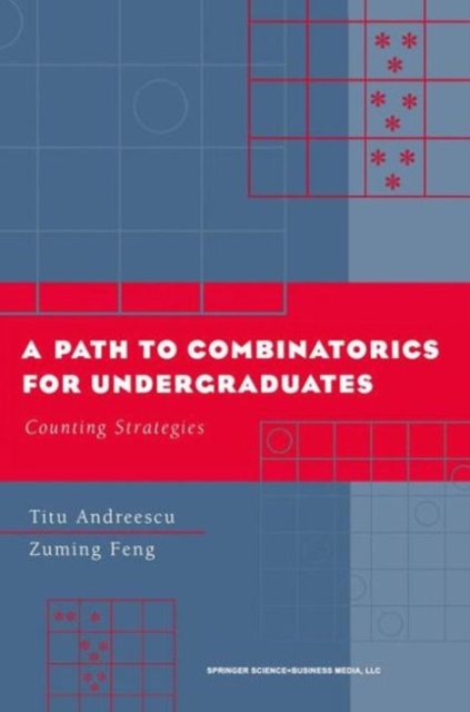 A Path to Combinatorics for Undergraduates : Counting Strategies, PDF eBook
