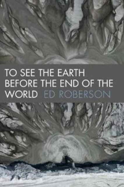To See the Earth Before the End of the World, Paperback / softback Book