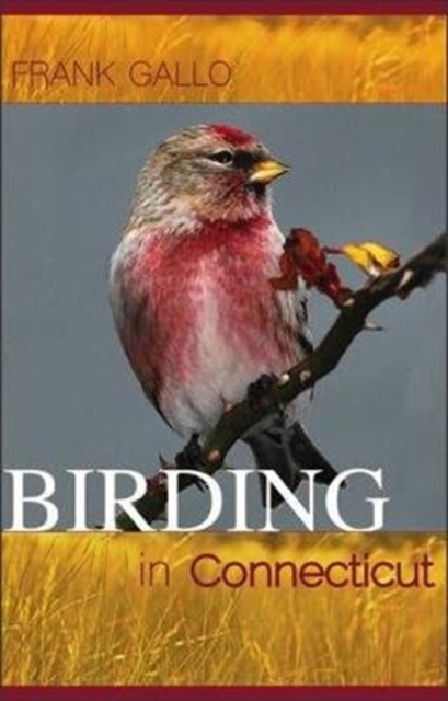 Birding in Connecticut, Paperback / softback Book
