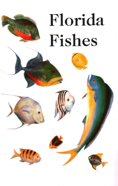 Saltwater Florida Fishes, Paperback / softback Book